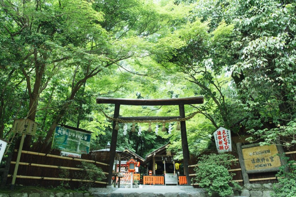 神社で歓迎されるとどうなる?開運サインや幸運エピソード
