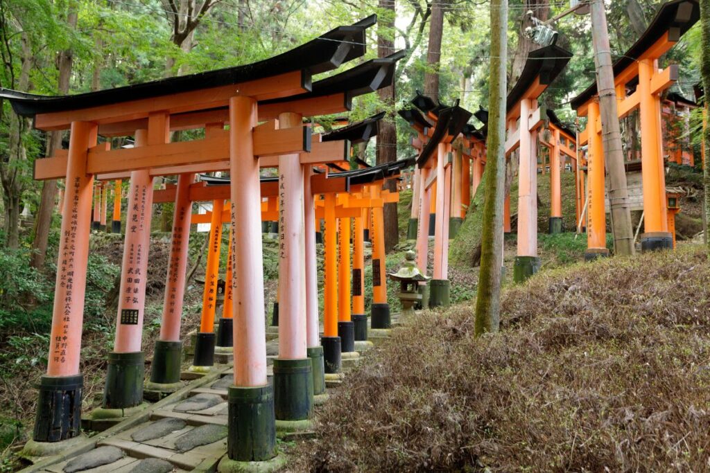神社で歓迎されるとどうなる?開運サインや幸運エピソード