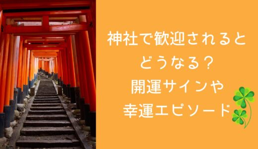 神社で歓迎されるとどうなる？開運サインや幸運エピソード