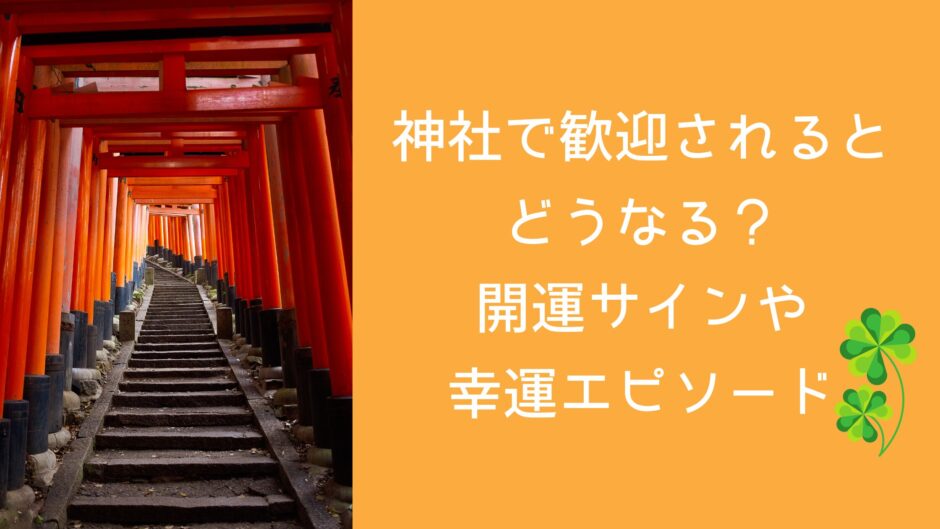 神社で歓迎されるとどうなる？開運サインや幸運エピソード