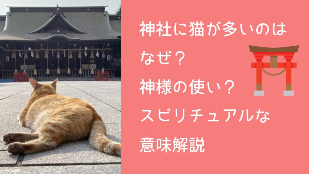 神社に猫が多いのはなぜ？神様の使い？スピリチュアルな意味解説