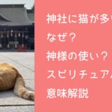 神社に猫が多いのはなぜ？神様の使い？スピリチュアルな意味解説