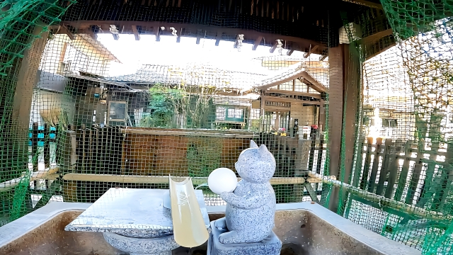 荻窪白山神社 猫の手水舎