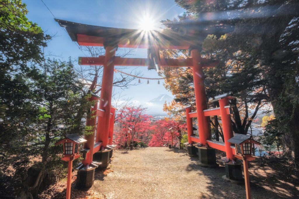 神様に呼ばれないと行けない神社【関東】秘められた最強パワースポット
