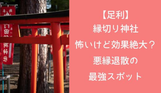 足利 縁切り神社：怖いけど効果絶大？悪縁退散の最強スポット