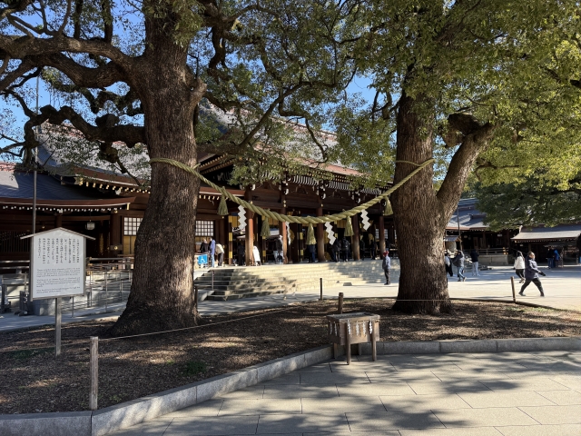 御神木を触ってはいけないのはなぜ?触れずにパワーと効果を得る方法