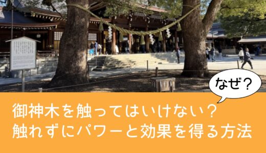 御神木を触ってはいけないのはなぜ？触れずにパワーと効果を得る方法