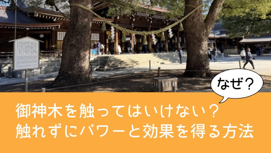 御神木を触ってはいけないのはなぜ？触れずにパワーと効果を得る方法