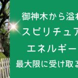 御神木から溢れるスピリチュアルエネルギーを最大限に受け取る方法