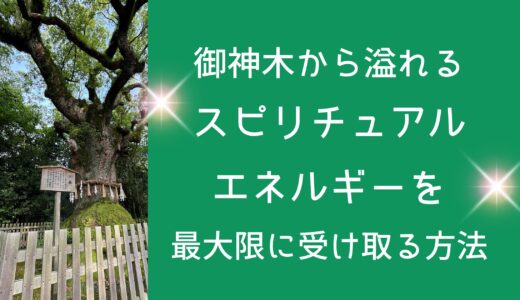 御神木から溢れるスピリチュアルエネルギーを最大限に受け取る方法