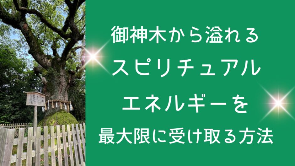 御神木から溢れるスピリチュアルエネルギーを最大限に受け取る方法
