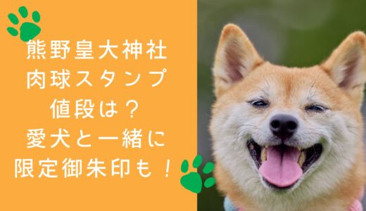 熊野皇大神社 肉球スタンプの値段は？愛犬と一緒に限定御朱印も！