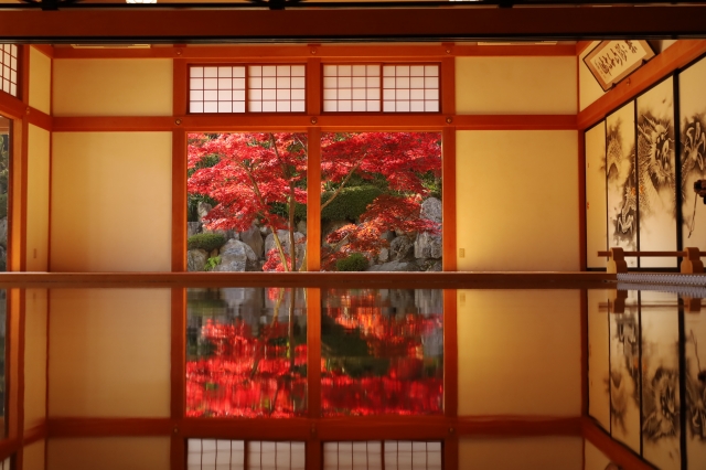 宝徳寺 床もみじ チケットは予約が必要？見頃はいつ【2025】