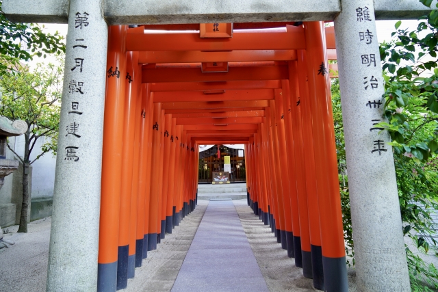 鳥居がいっぱいある神社 なぜか知ってる?願いを叶える信仰の秘密