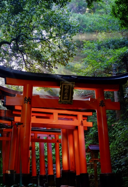 神社で奇跡の「光の輪」写真!スピリチュアルな意味と撮影のコツ