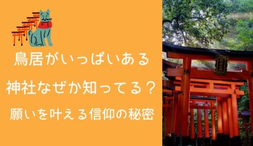 鳥居がいっぱいある神社 なぜか知ってる？願いを叶える信仰の秘密