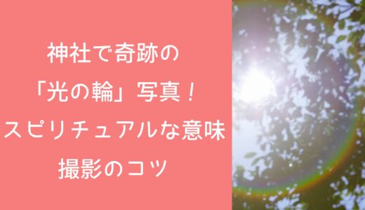神社で奇跡の「光の輪」写真！スピリチュアルな意味と撮影のコツ
