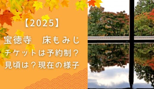宝徳寺 床もみじ チケットは予約制？見頃は？【2025】現在の様子