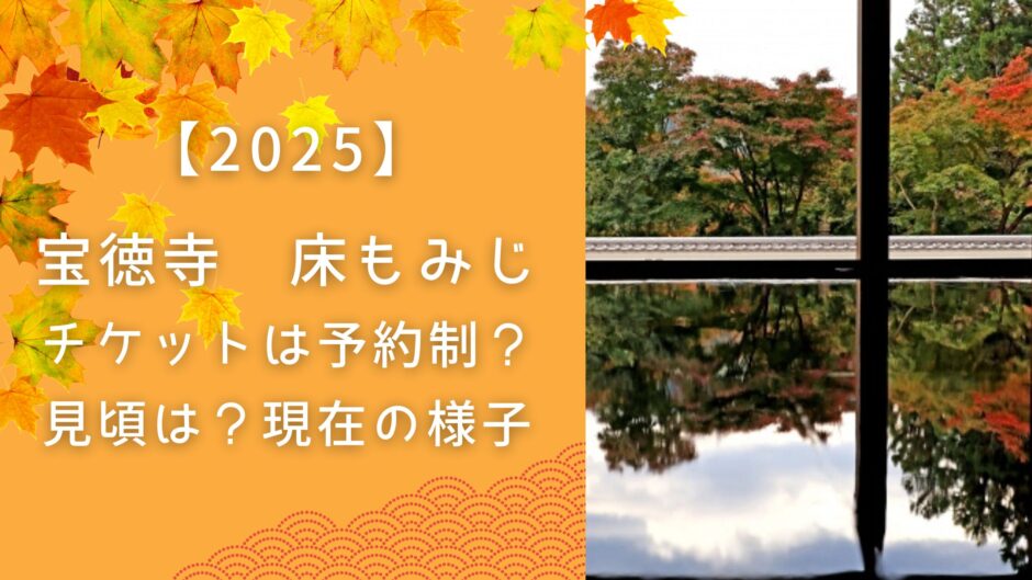 宝徳寺 床もみじ チケットは予約制？ 見頃は？（2025）現在の様子