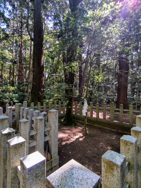鹿島神宮の要石が東日本大震災で割れた?伝説の石に起きた異変と真相