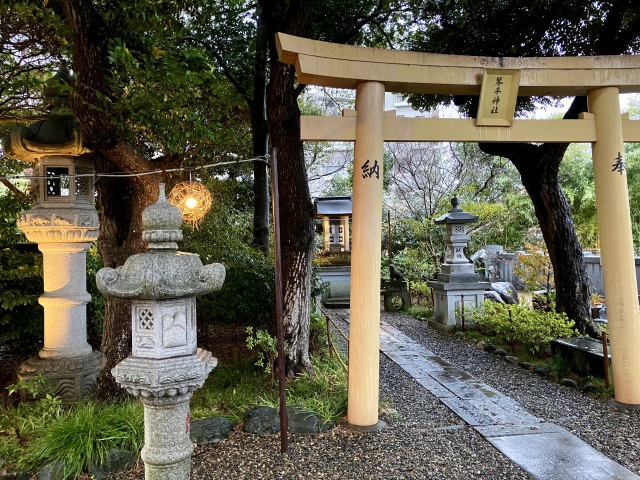 雨の日の神社参拝!江原啓之が語るスピリチュアルな真髄